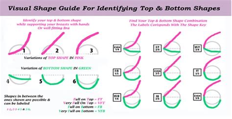 Breast Shapes: A Guide to Different Types of Breasts